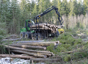 Skogeierforbundets næringspolitiske program