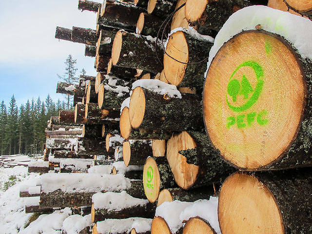 MILJØSERTIFISERT: Den grønne PEFC-logoen betyr at tømmeret kommer fra skog som er drevet på en bærekraftig måte. Norsk skogbruk kartlegger og tar vare på arealer som er viktige for truede dyr og planters livsgrunnlag.  