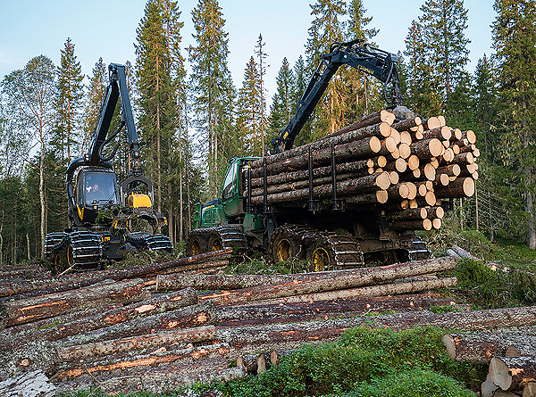 SB Skog har vunnet anbudene om skogsdrift i Statskog.