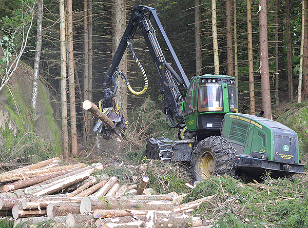 Senterpartiet ønsker en tiltakspakke slik at aktiviteten i skogen kan opprettholdes. 
