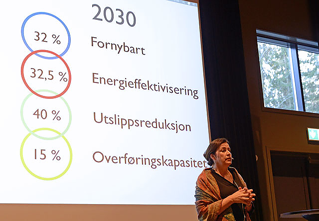 Anne Vera Skrivarhaug i NVE gjennomgikk målene for 