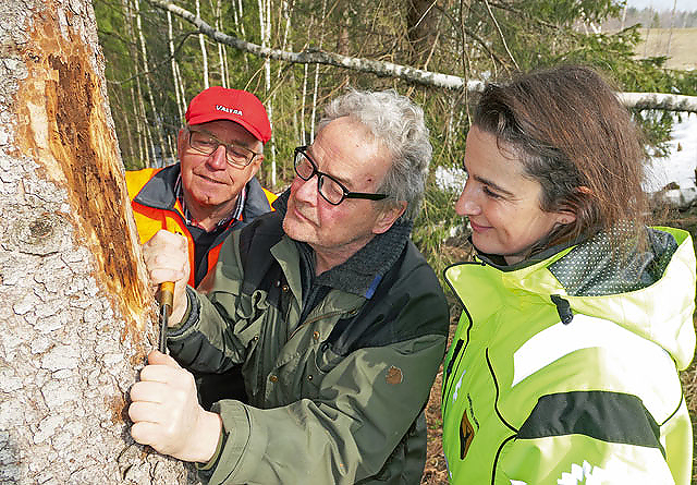 Gå befaring i skogen din. Skrap av bark og ta med prøver til skogbrukslederen, er rådet fra Torstein Kvamme (midten); INgar Aadne (bak) og Sanela Jacobsen.