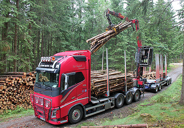 Et prøveprosjekt med 74-tonns tømmervogntog i Norge vil bli startet i løpet av året. 