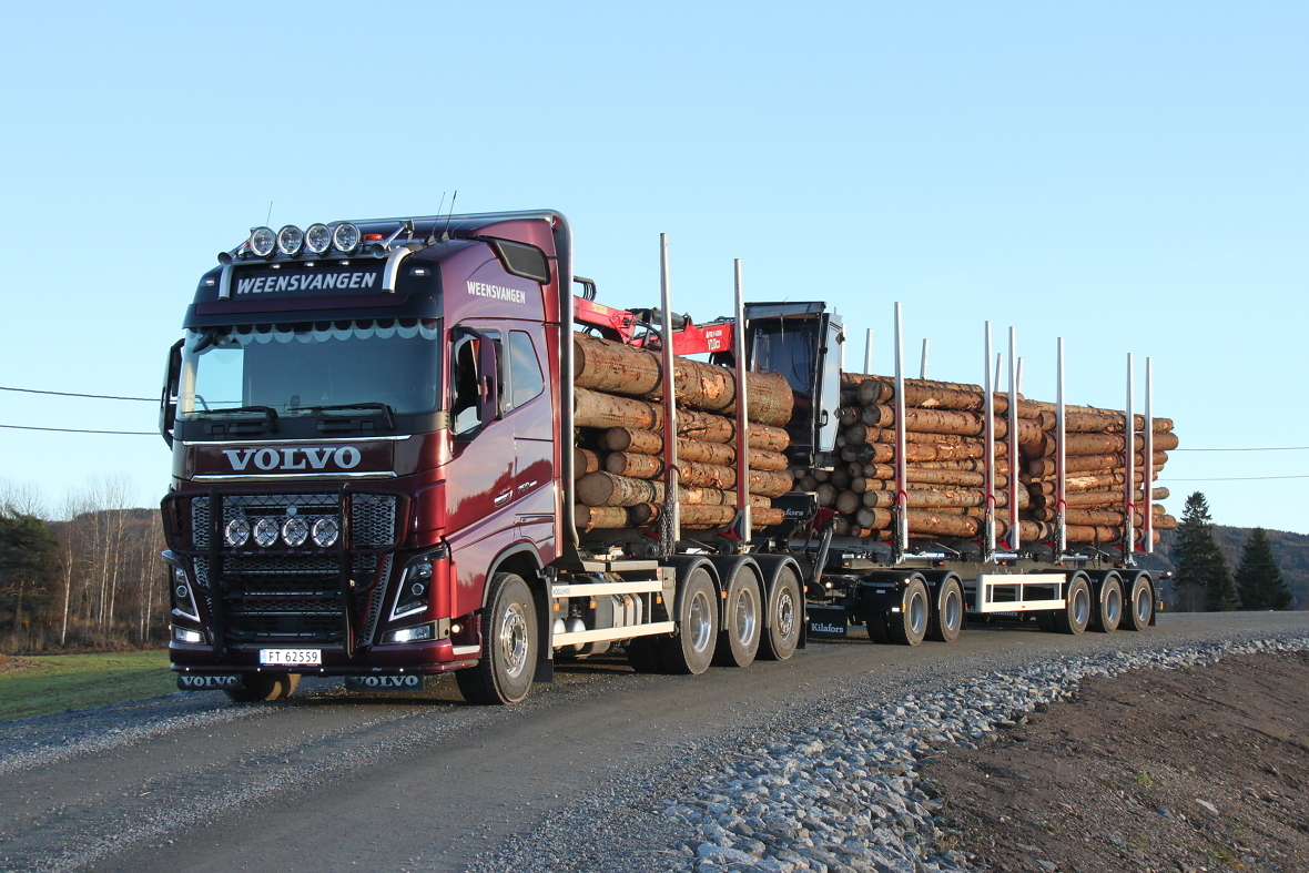 9-akslet tømmervogntog. Foto Dag Skjølaas