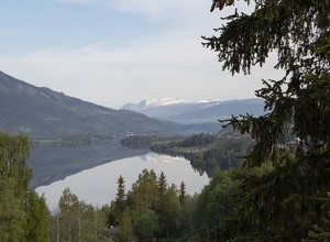 Ti fakta om skogen i Norge