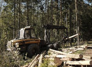 Skog- og trenæringen er et av sju satsingsområder for grønt industriløft