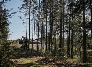 Skogeierforbundets kommentarer til sak om skogforvaltningen