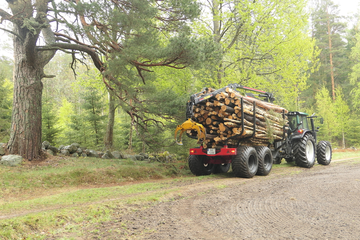 Myndighetene ga amnesti for uregistrerte tømmerhengere kjøpt før 2022. Dette betyr at du kan kjøre dem på offentlig vei. Forutsetningen er at de ellers følger lover og forskrifter, selvsagt. Illustrasjonsfoto.