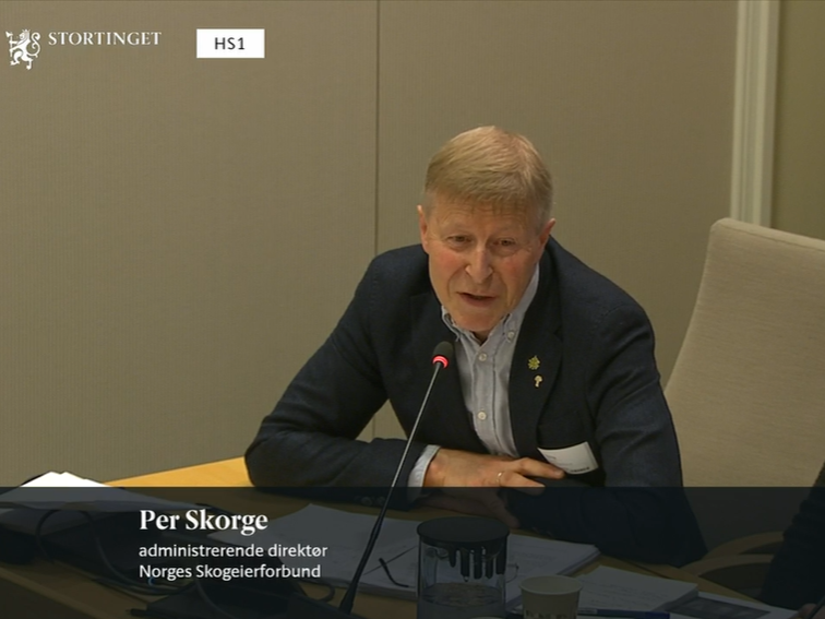 Per Skorge i Skogeierforbundet på høring i finanskomiteen.