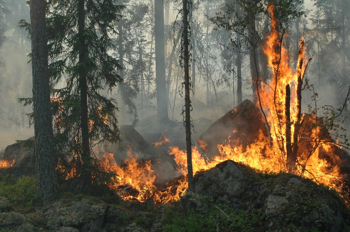 Ifølge Meteorologisk institutt (MET) er faren for skogbrann overhengende ved mørkerød indeks, og en brann kan være vanskelig å håndtere.